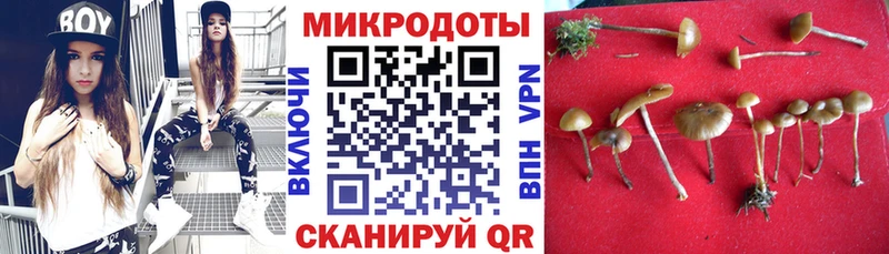 Псилоцибиновые грибы Cubensis  MEGA маркетплейс  Новоузенск 
